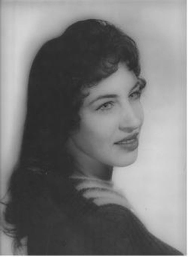 Patsy N. Vanvleet