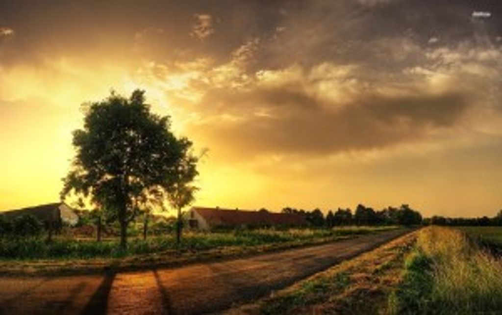 Thomas Lundy Profile Photo