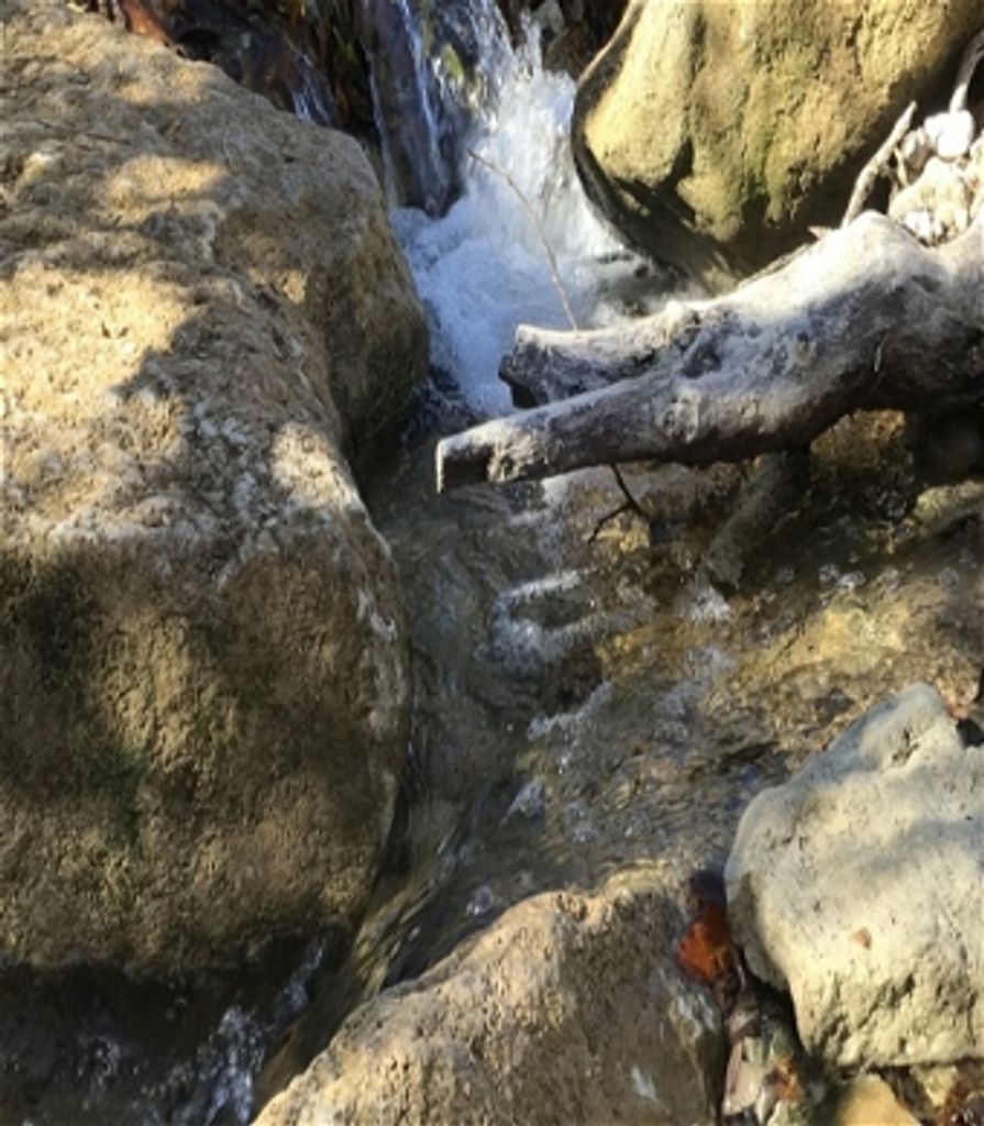 John D. Feagley Profile Photo