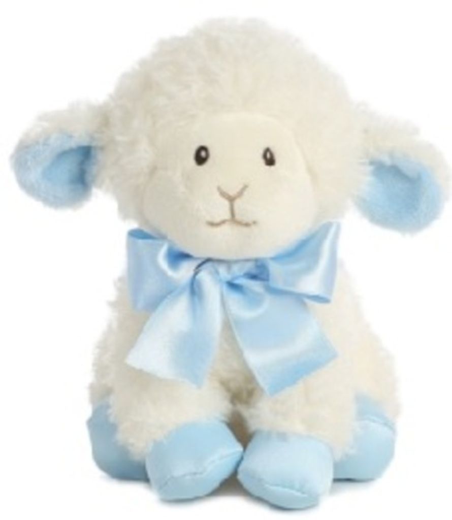 Carter Lane Helms Profile Photo