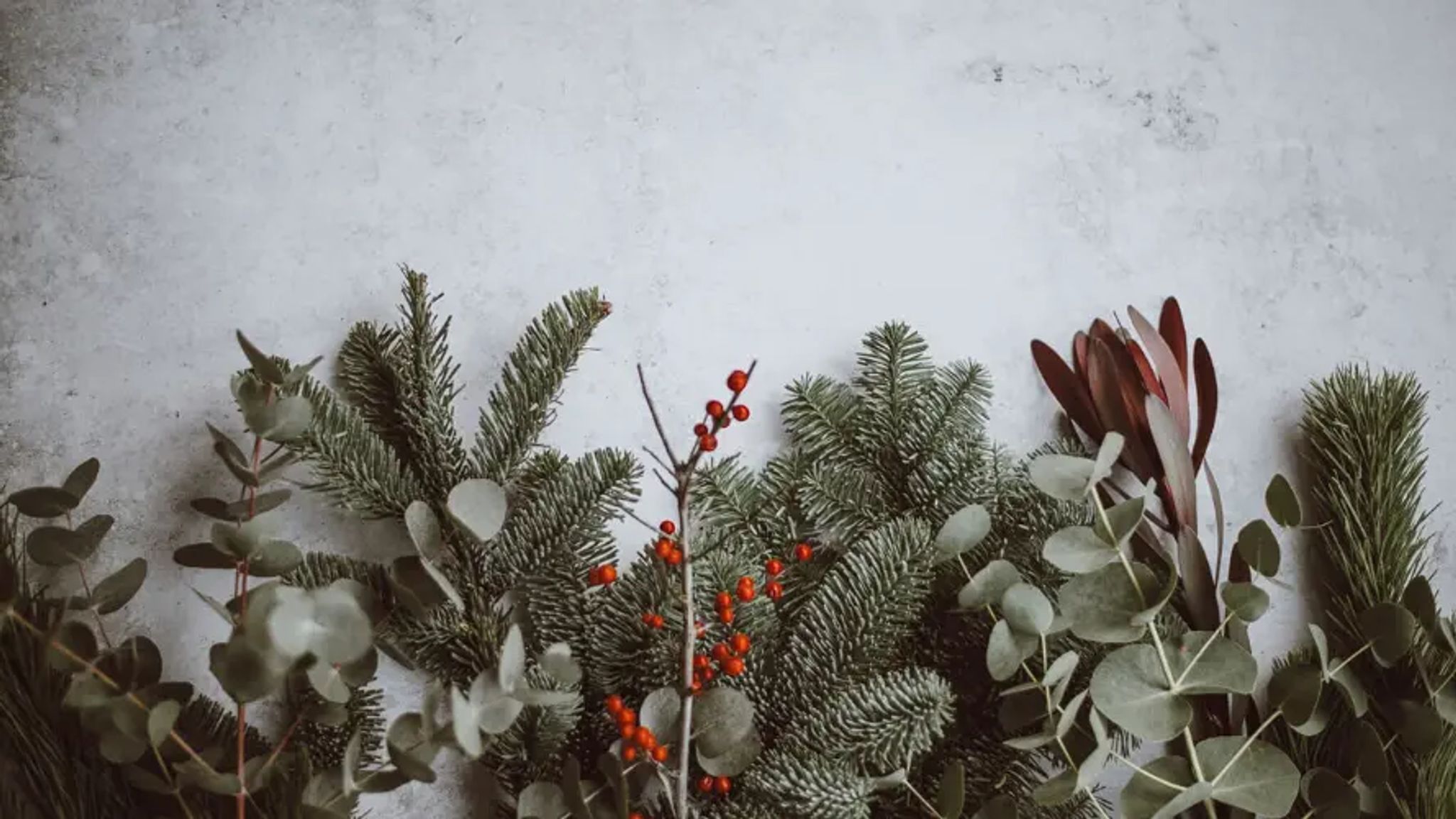 Cover for Mary Frances Pietig's Obituary