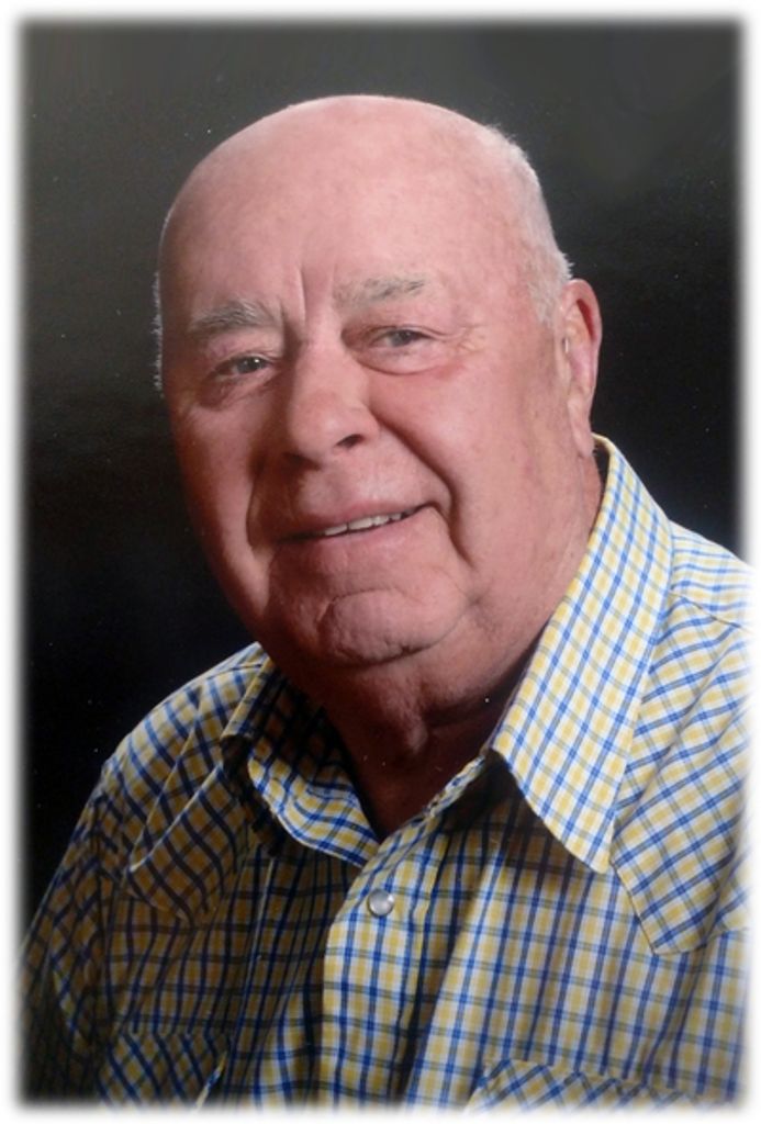 Darwyn Frank Stebbins