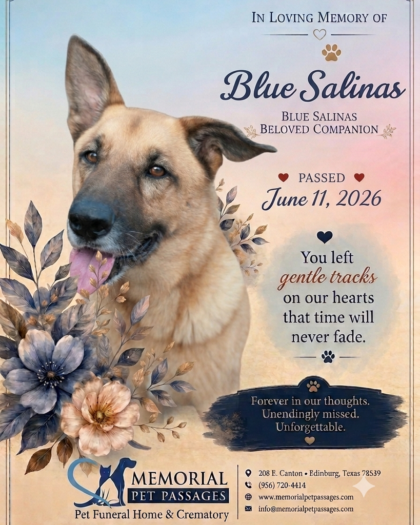 Blue Salinas Profile Photo