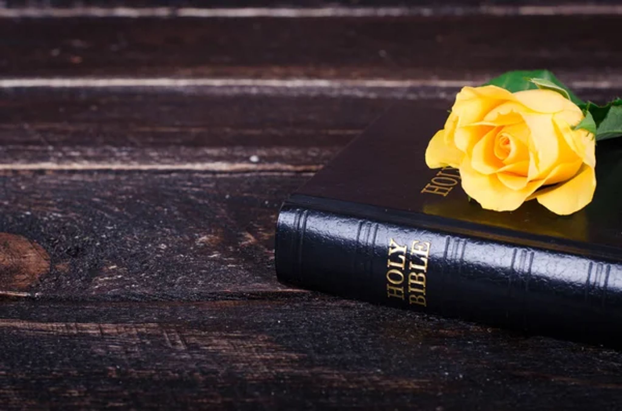 Cover photo for Nancy Q. Scheuermann's Obituary