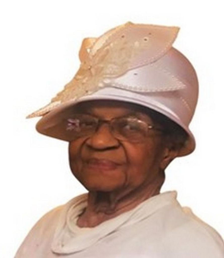 Dorothy Warren Profile Photo
