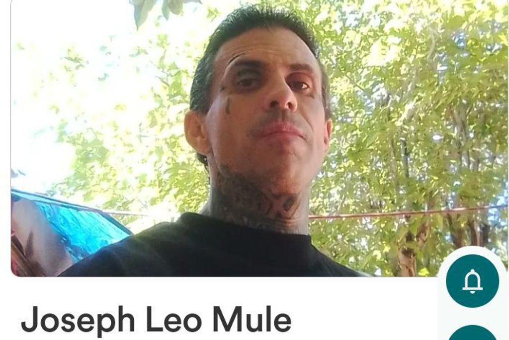 Joseph Leo Mule Profile Photo