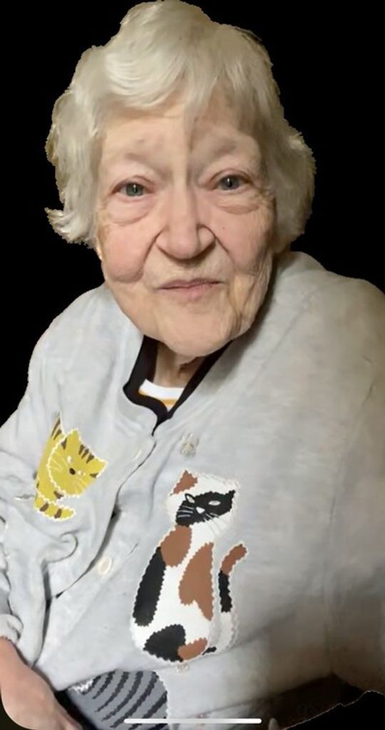 Sue Wilkins Profile Photo
