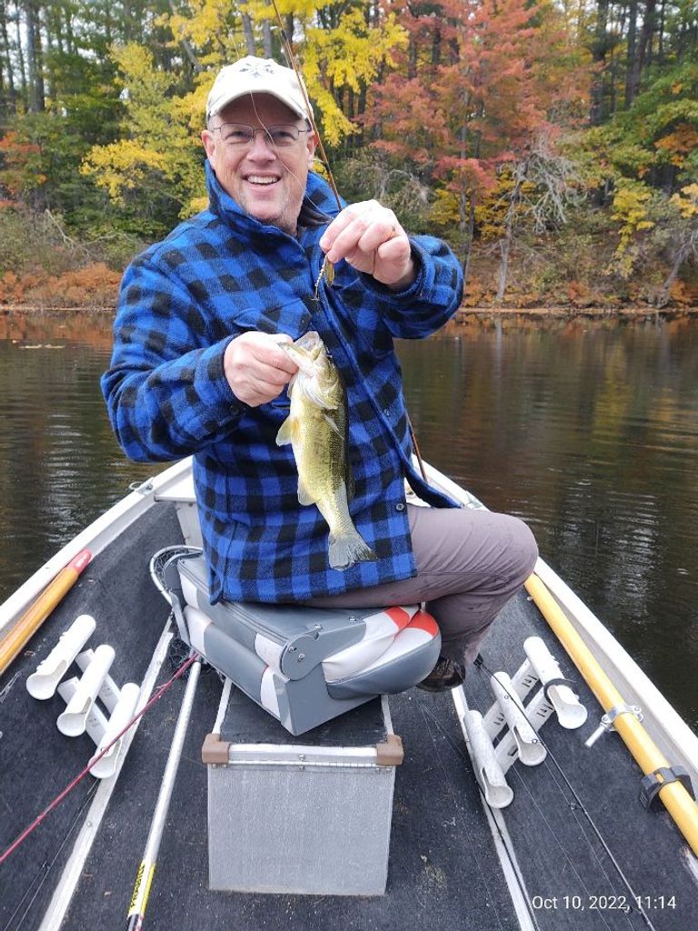 Andrew Davis Profile Photo