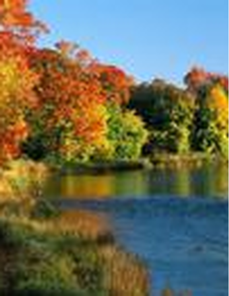 Phillip Eugene Chupp