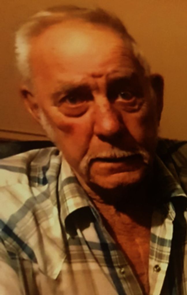 Arlan Lee Halverson