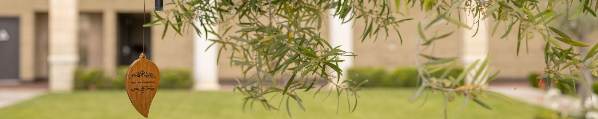 Cover for Carol Lou Lazarus's Obituary