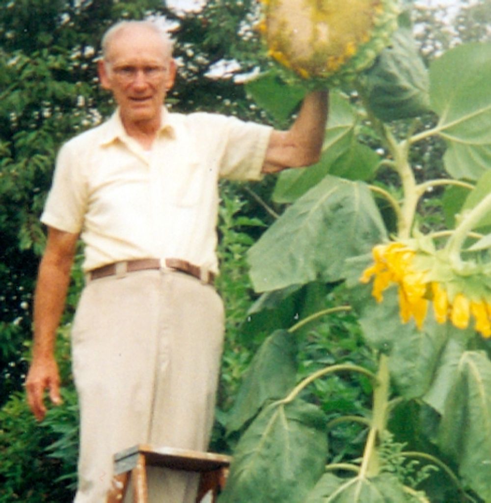 Stephen J Baksa Profile Photo