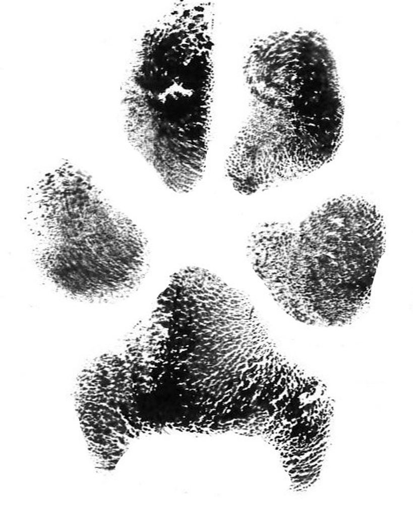 Spirit Helms Profile Photo