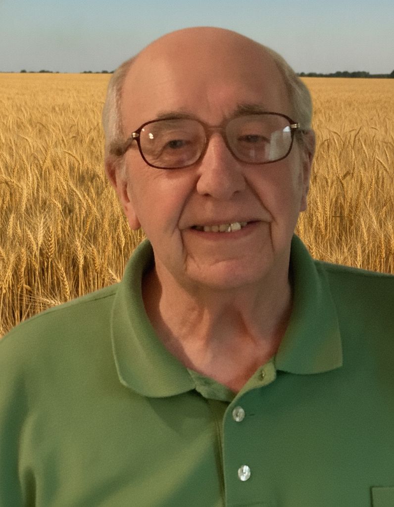 Louis Andringa