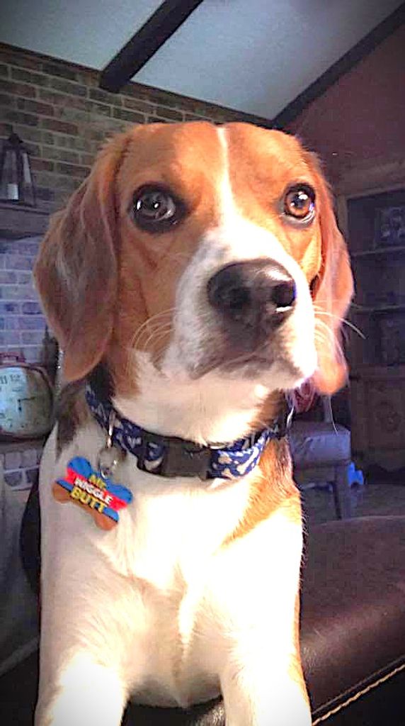 Herman George "Mr. Wiggle Butt" Mayfield Profile Photo