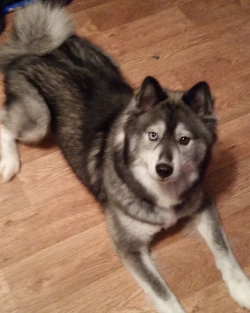 Enya Parker Profile Photo