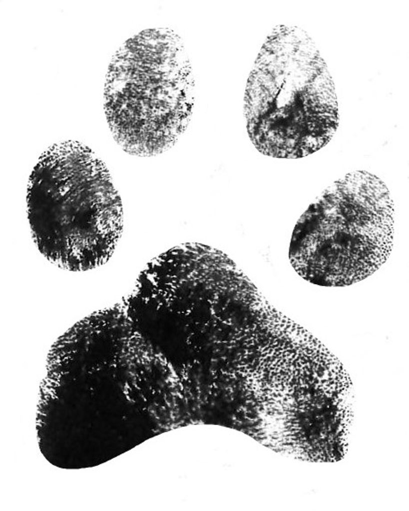 Karma Hedrick Profile Photo