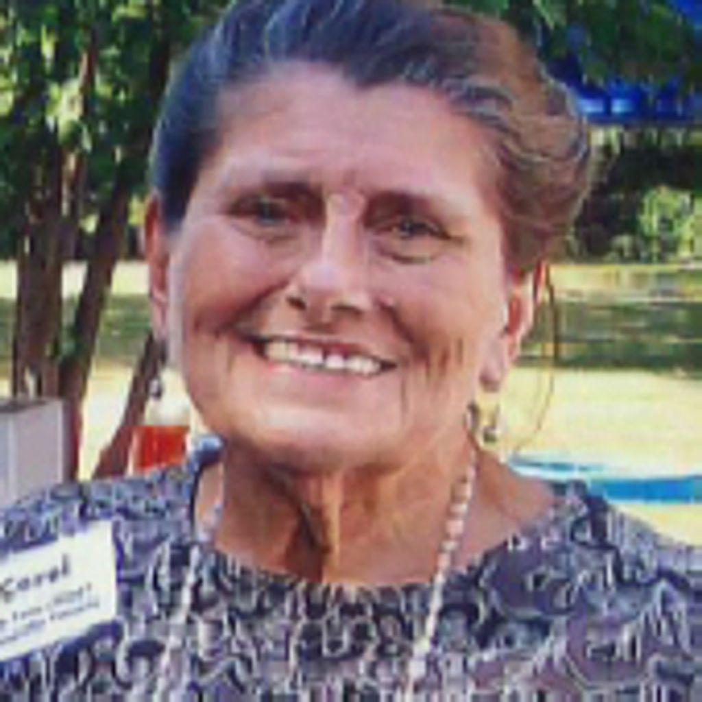 Carol Ann (Napierala) Evans Profile Photo