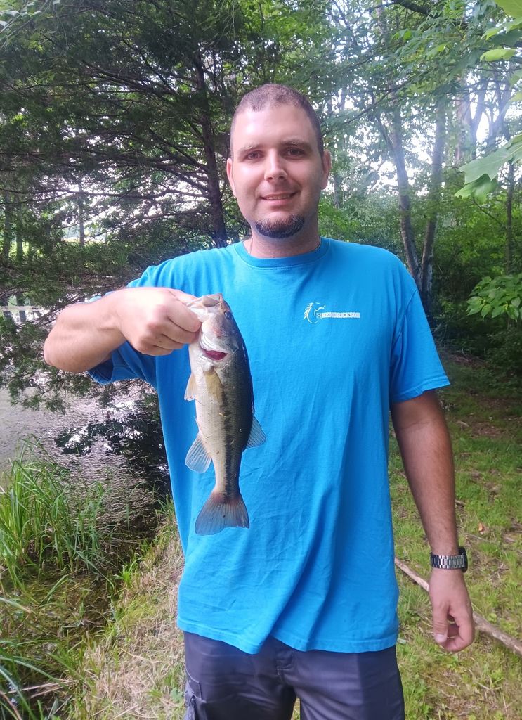 Dale Curtis Alexander Profile Photo