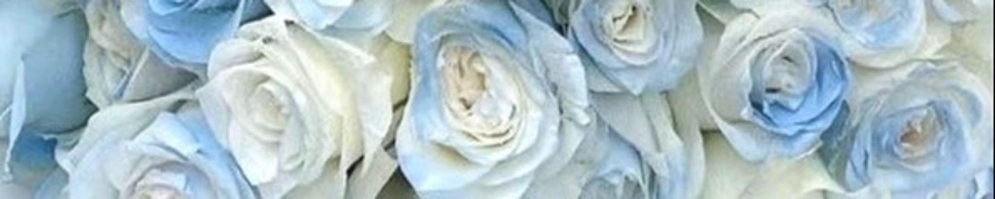 Cover photo for Glenda D. West's Obituary
