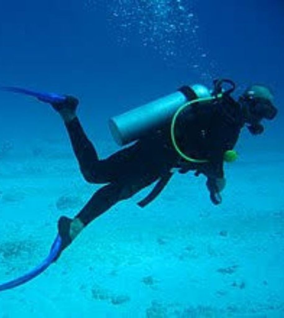 William Timothy "Timmy" Stallings