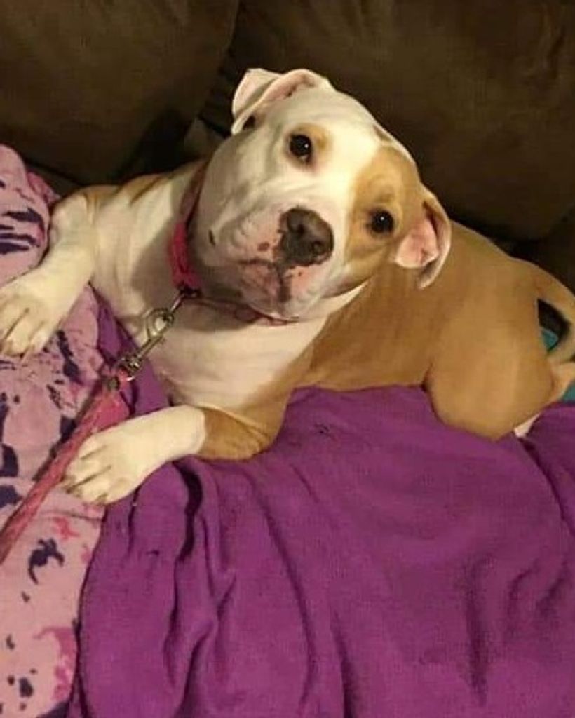 Jadance "Jade" Clinton