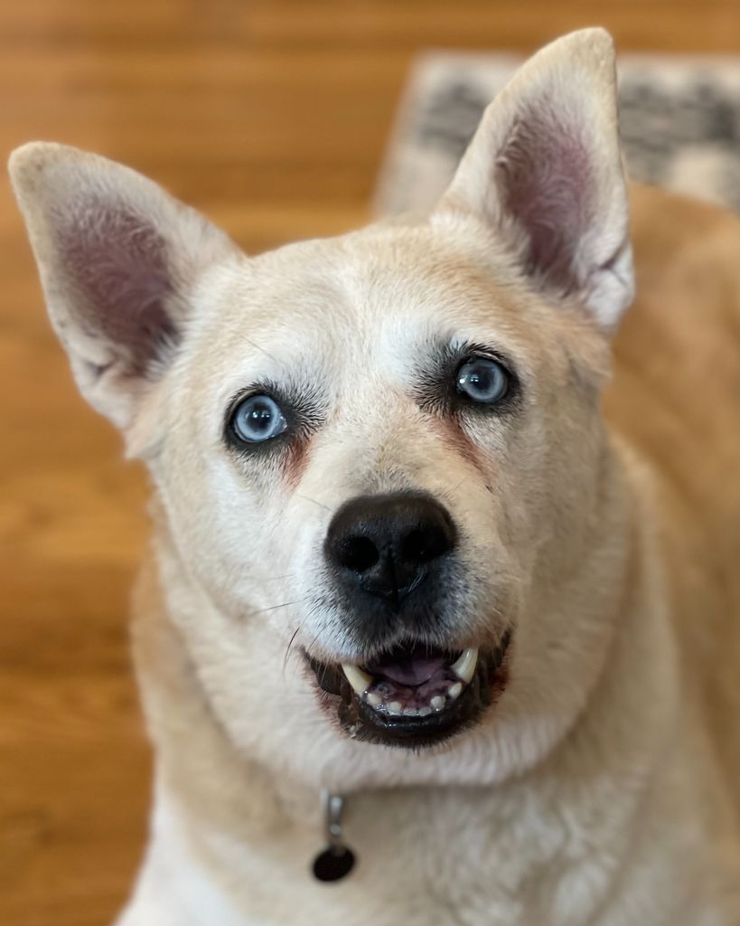 ZuZu Beck Profile Photo