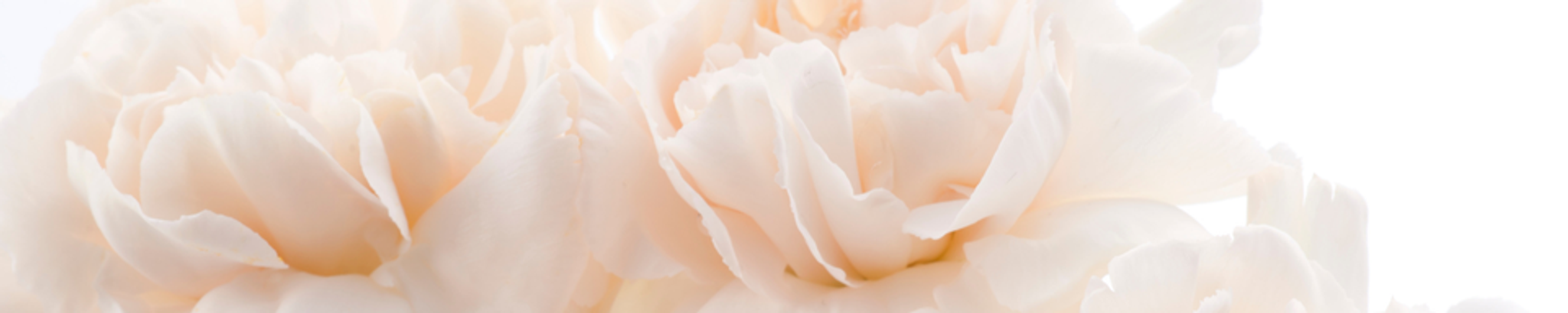 Cover for Bonnie C Hansen's Obituary