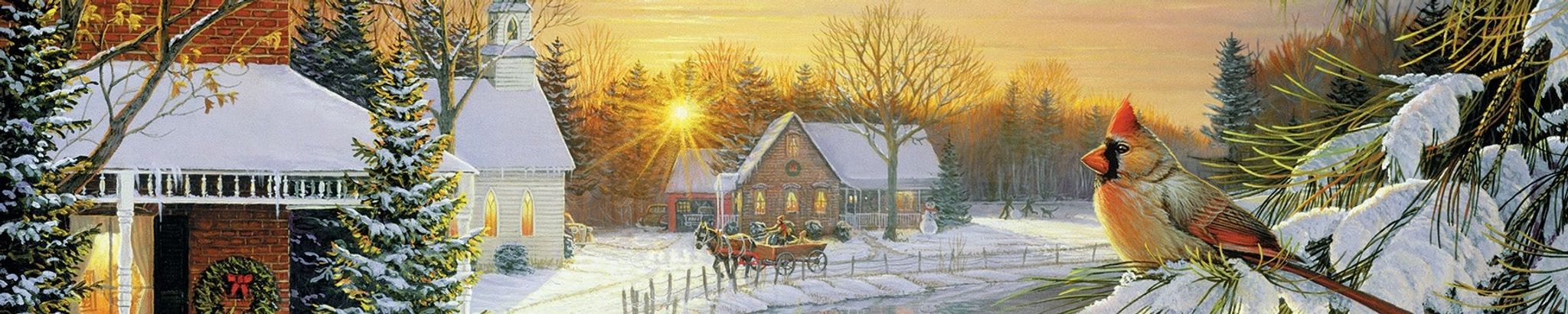 Cover for Paula C. Janicki's Obituary