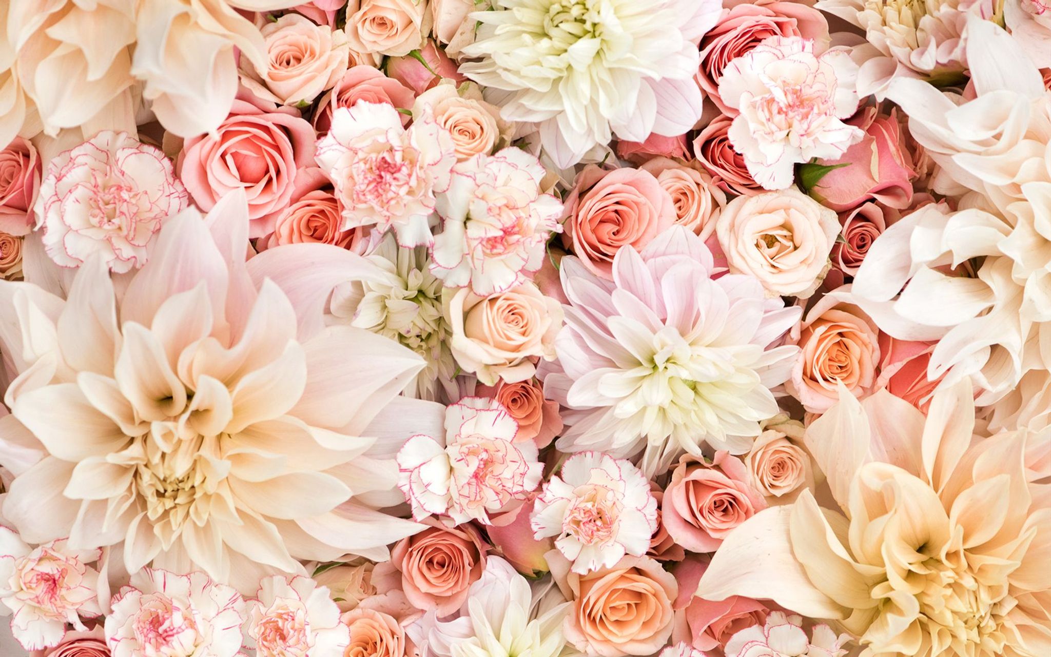 Cover for Betty A. Skoglund's Obituary