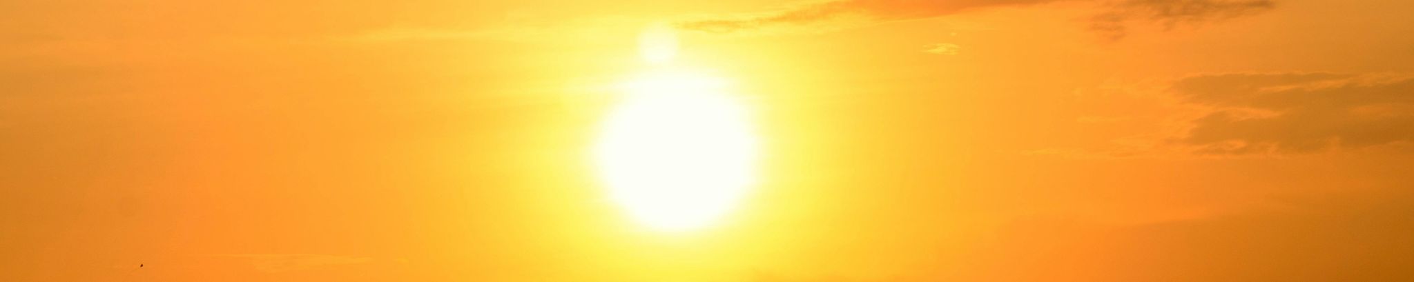 Cover for Antoinette Langfeld Substalae's Obituary