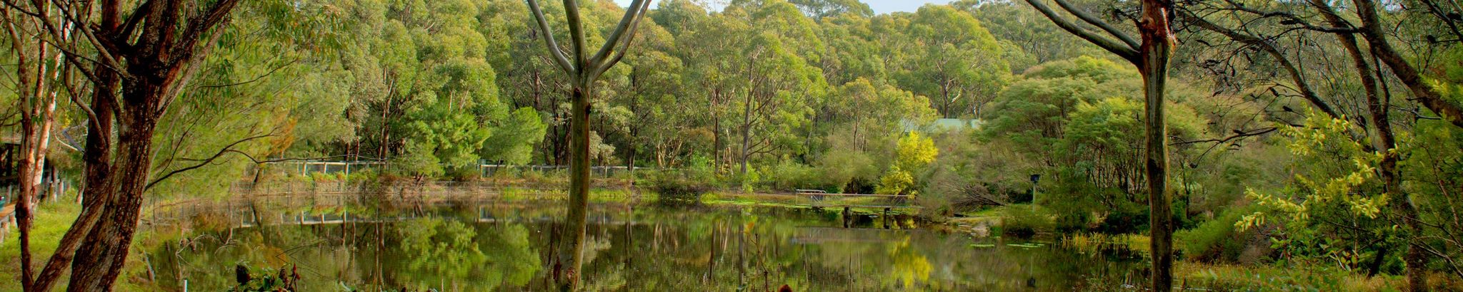Cover for Charles Tzer-Chuan Lei | 雷澤川's Obituary
