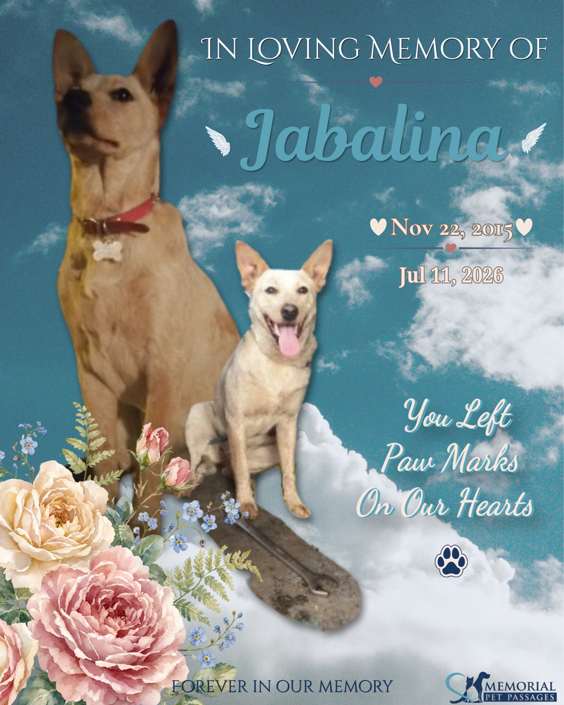 Jabalina Profile Photo