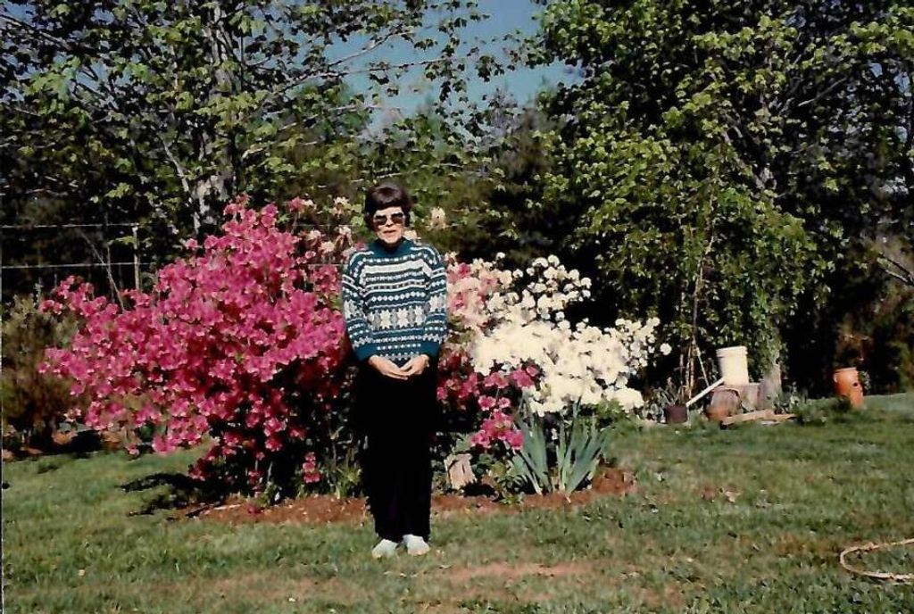 Jody (Vickers)  Owens Profile Photo