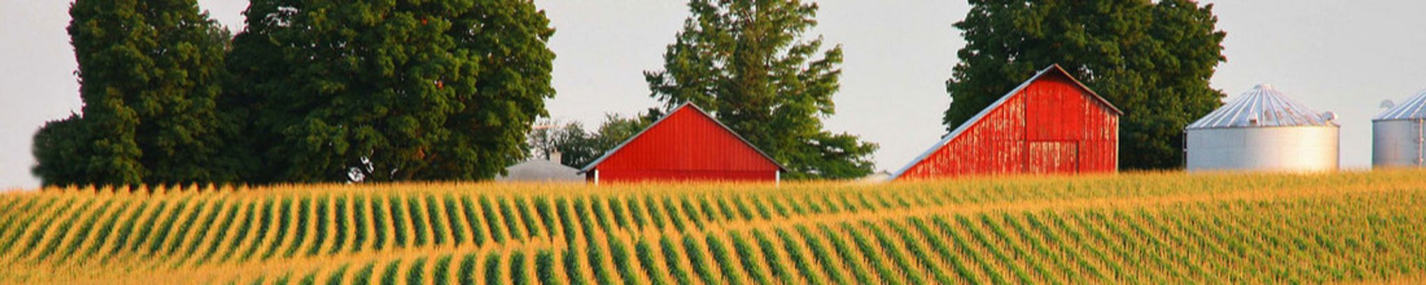 Cover photo for Joseph "Joe" H. Schumacher's Obituary