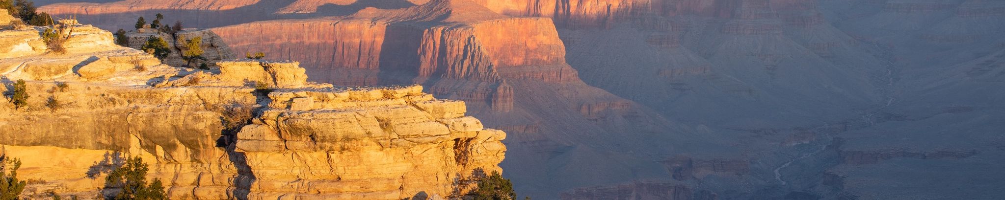 Cover for Laddie Vincent Houck's Obituary