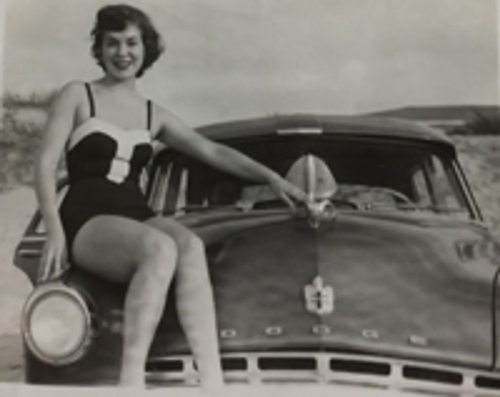 Dorothy Anne Cook
