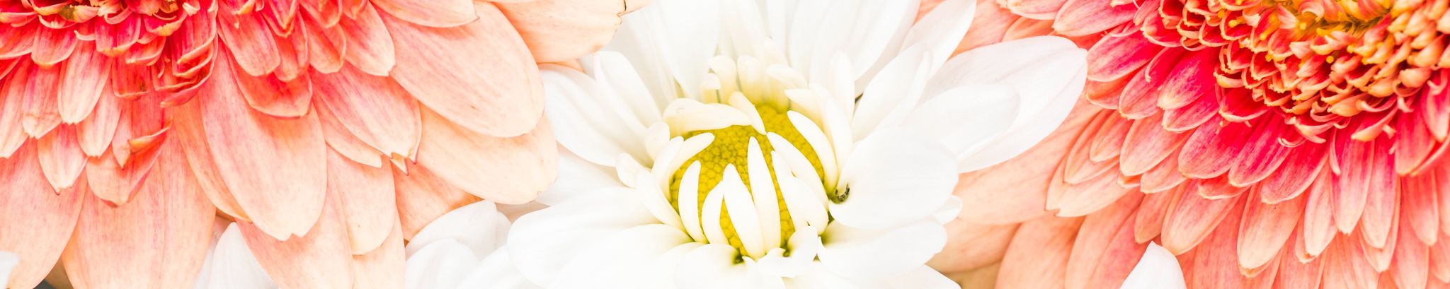 Cover photo for Hattie Marie Hayes's Obituary