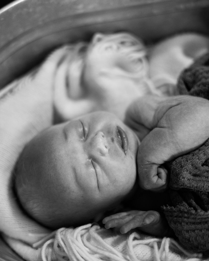 Waylon John Wren