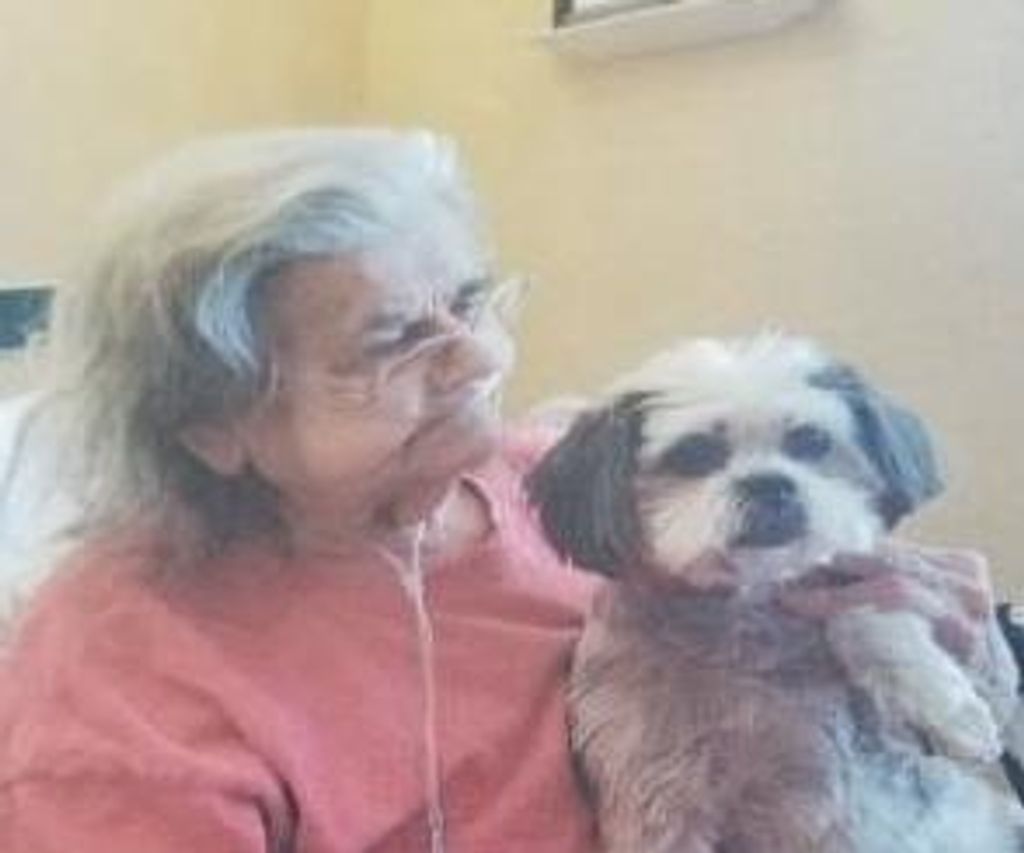 Sandra Eilleen “Sandy” Mitchell Wrightson