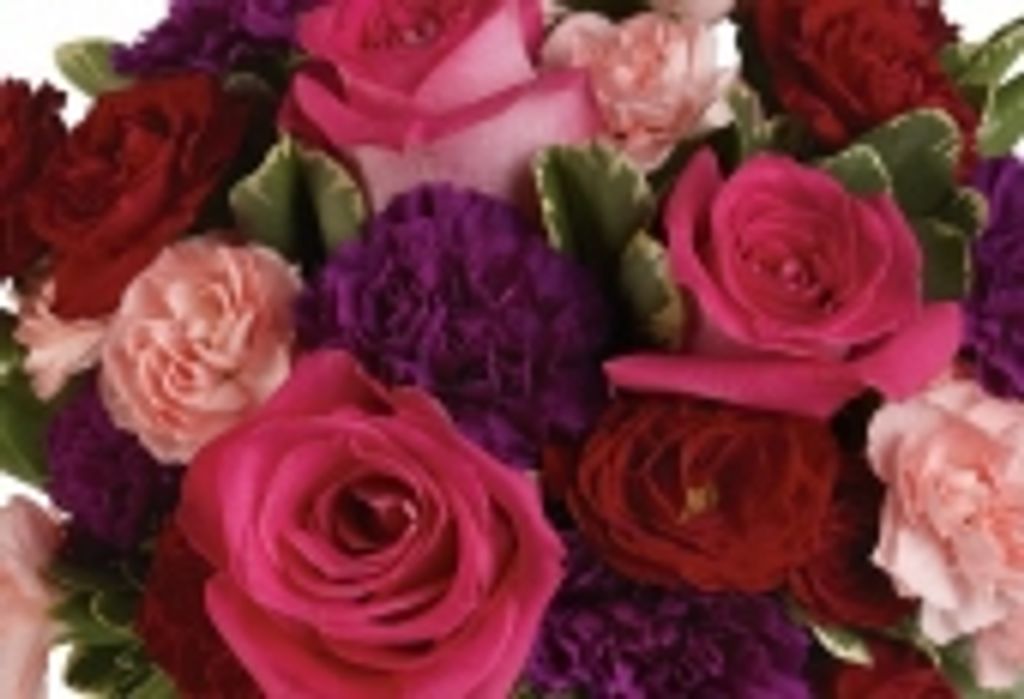 Florence Janet Regehr