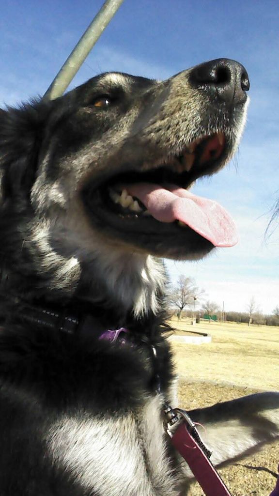 Lola Profile Photo