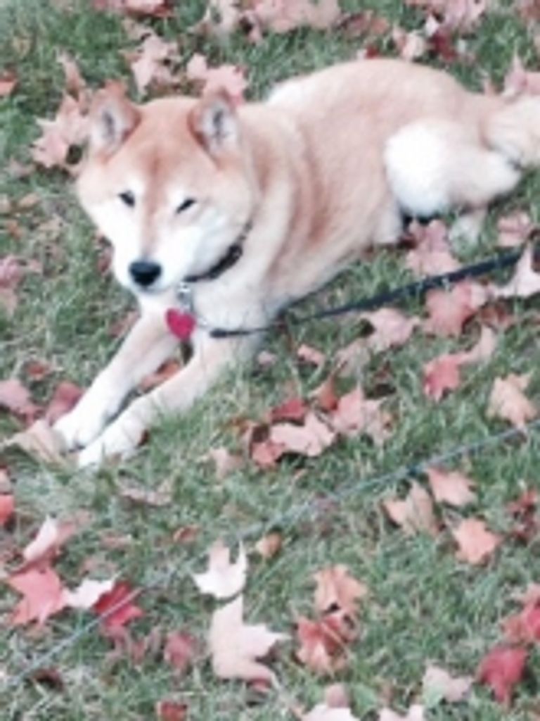 Tobi Rosenberger Profile Photo