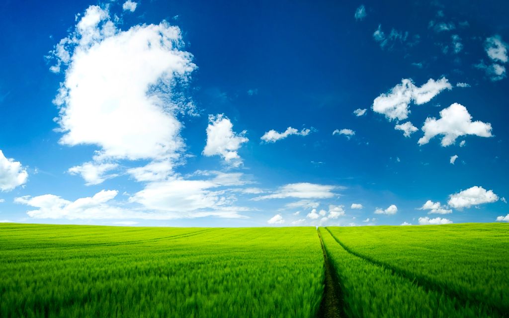 Ardis Green