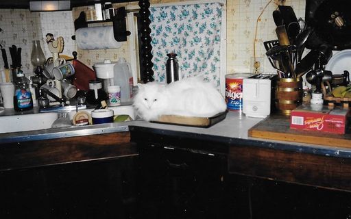 Linda L. Dilling photo gallery thumbnail 50 of 79