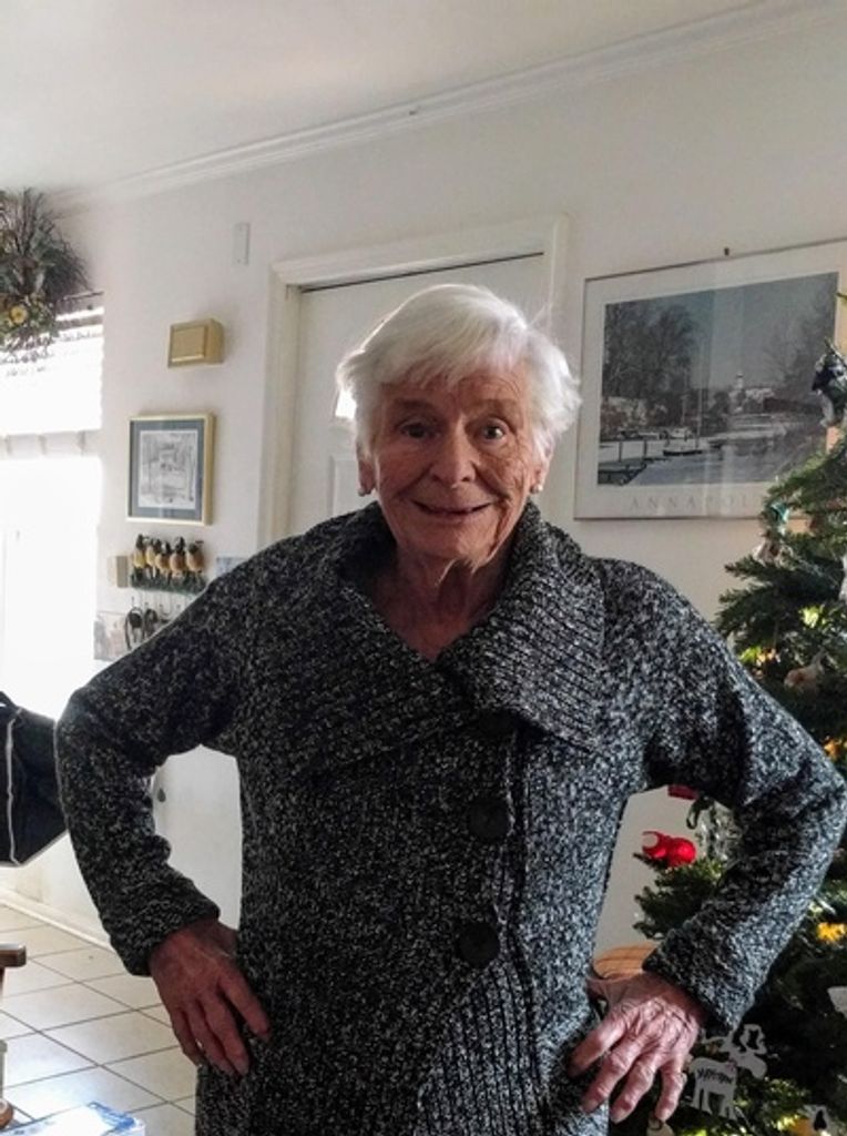 Arllayne M. Scuccimarra