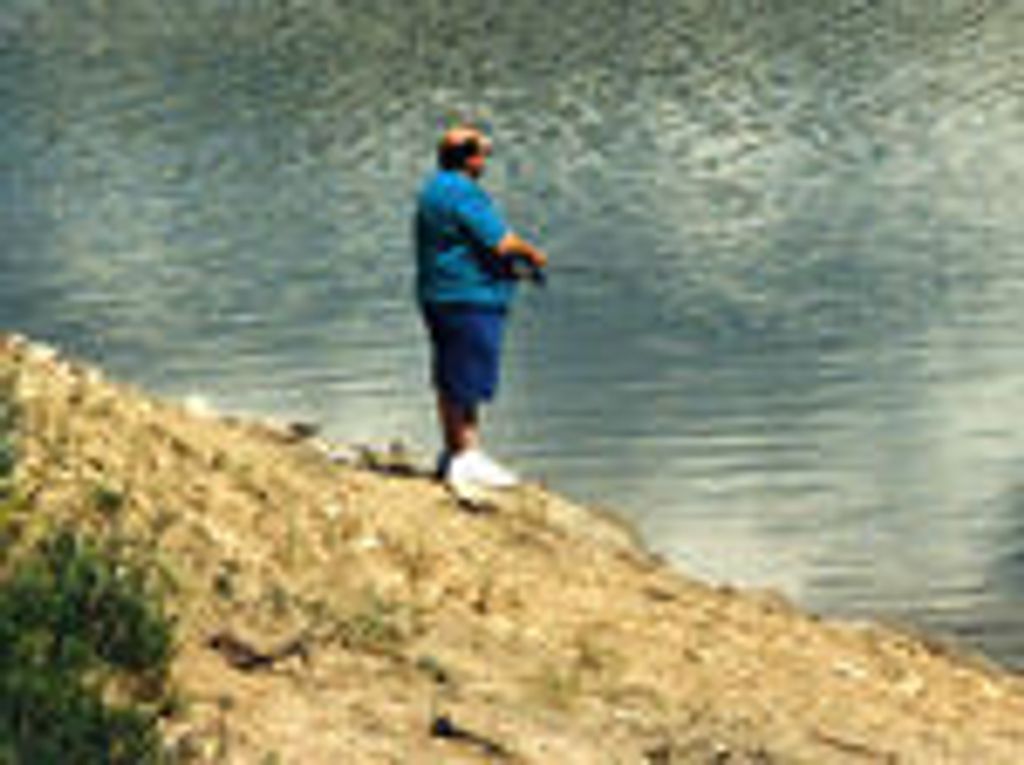 John O. Holecek