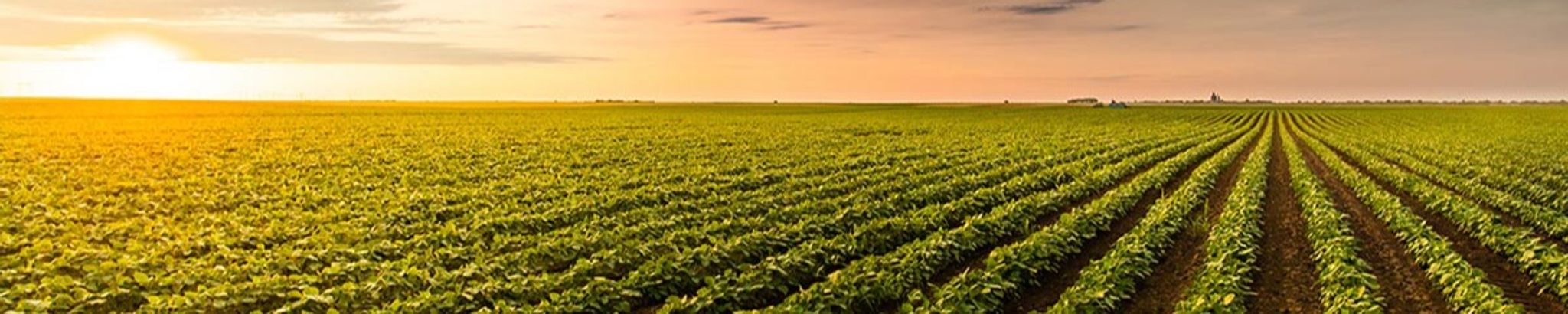 Cover for Richard B. "Dick" Corey's Obituary