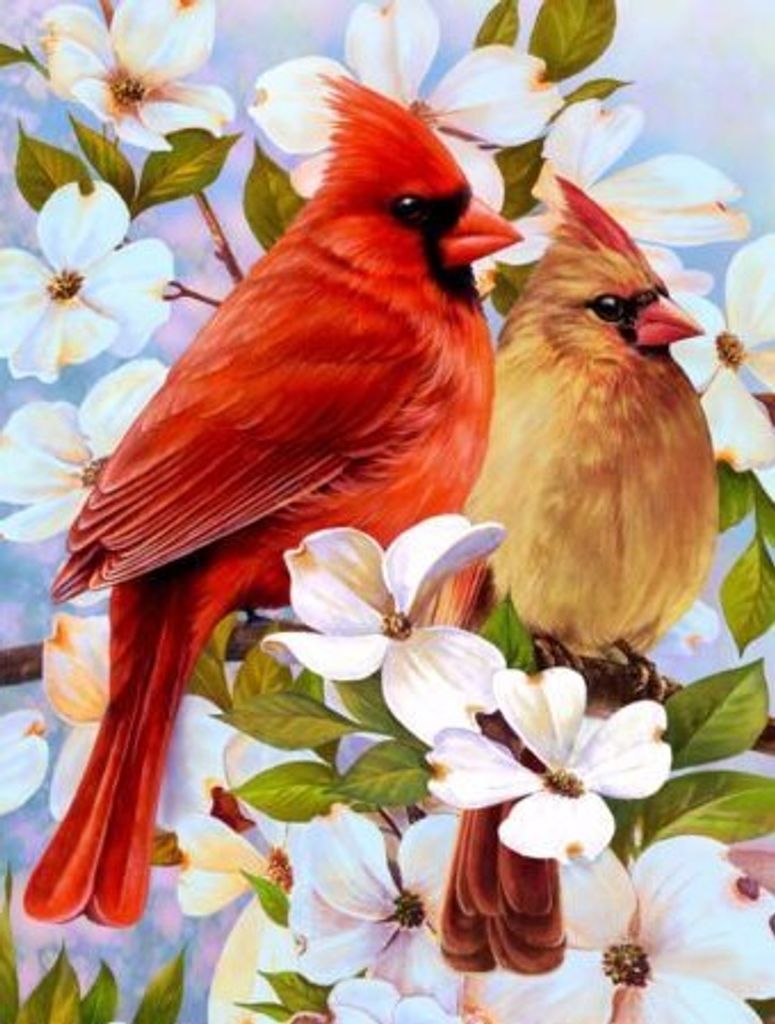 Janet Lee (Himelright)  Ballowe Profile Photo