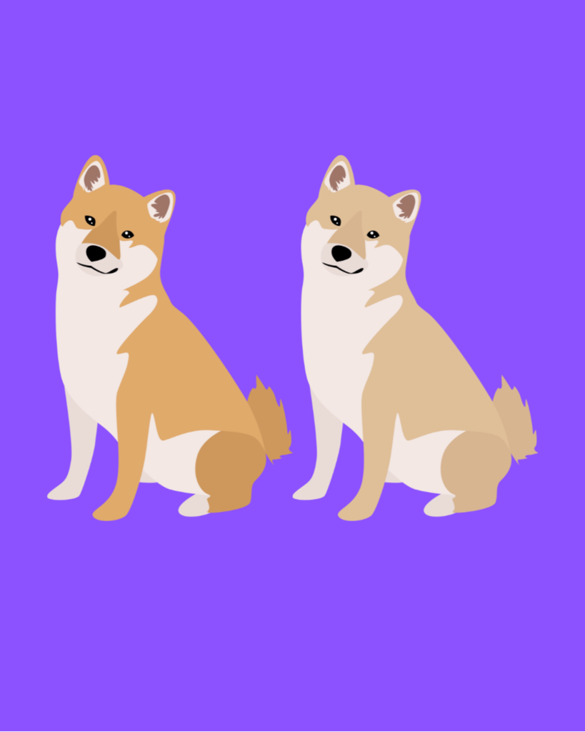 Shimo Foster Profile Photo